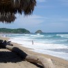 Spiaggia di Zipolite, Mexico