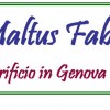 Maltus Faber, storia e curiosità della birra genovese