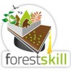 Forest Skill, progetti per valorizzare i boschi e creare occupazione