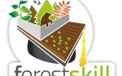 Forest Skill, progetti per valorizzare i boschi e creare occupazione