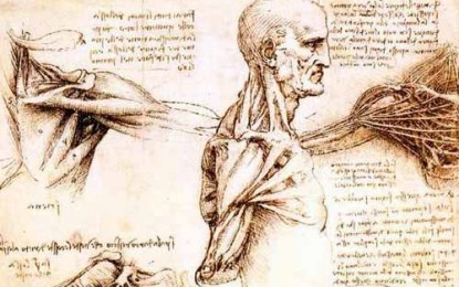 Leonardo Da Vinci è al cinema con la mostra della National Gallery