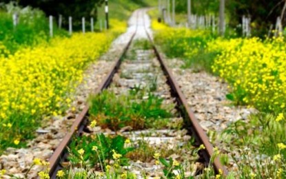 Ferrovie dimenticate: appello per il recupero delle linee dismesse