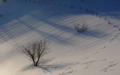 Allerta neve in Liguria: come tenere d’occhio la situazione sul web