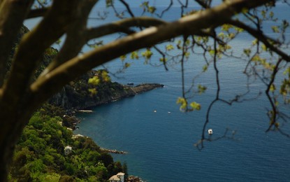 Escursione guidata a Punta Chiappa nel parco di Portofino