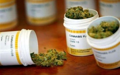 Cannabis terapeutica: consentita dalla legge, ostacolata dalla burocrazia