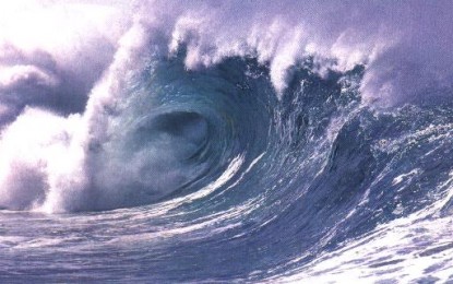 Com’è profondo il mare, mostra al Museo di Storia Naturale