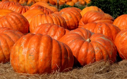 Carnevale della zucca a Moneglia