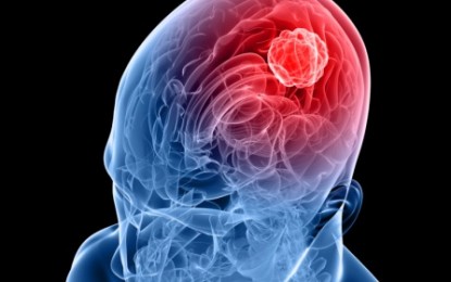 Il cervello in amore, incontro con Semir Zeki a Palazzo Ducale
