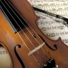 Violino