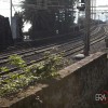 Ferrovia di Nervi