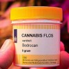 cannabis farmaco flos