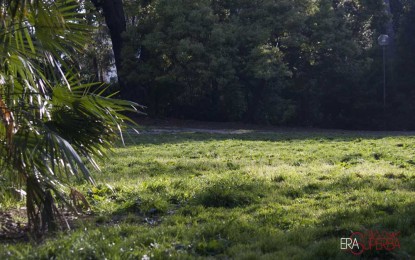 Guerrilla gardening: una giornata per aiutare il verde in città