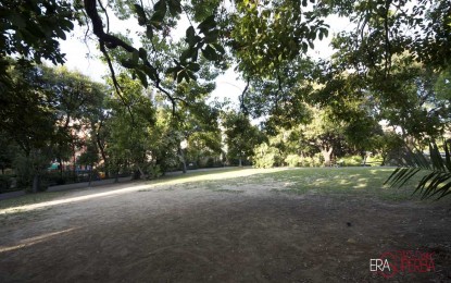 Genova, verde pubblico e alberature stradali: lo stato attuale
