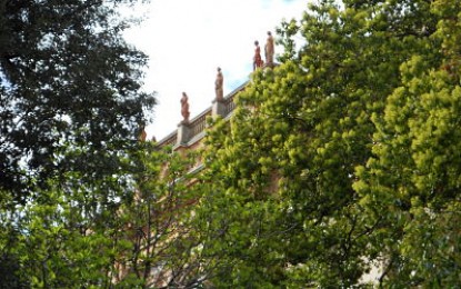 Albaro: a Villa Raggio residenze, parcheggi e una piscina