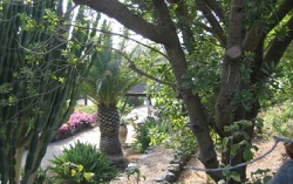 Corso di giardinaggio a Genova San Fruttuoso: il programma