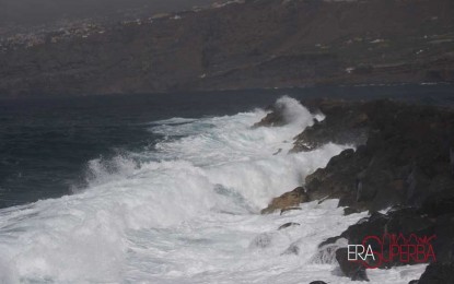 Un viaggio biologico per mari tropicali. Incontro con Maria Berica Rasotto
