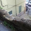 lagaccio, muro pericolante in vico 5 santi