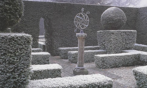 L’Ars Topiaria: il suo impiego nelle terrazze e nei piccoli spazi