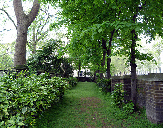 Garden Museum Londra