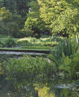 Piccolo lago nel proprio giardino: come realizzarlo e personalizzarlo