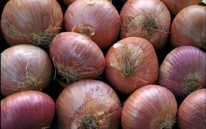 Festa della cipolla: gastronomia, mercatino agricolo e atigianale e musica folk