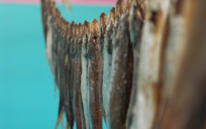 Slow Fish: settima edizione della fiera del pesce buono, pulito e giusto